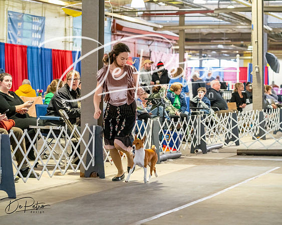 20260328-DSC06856