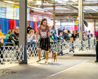 20260328-DSC06851