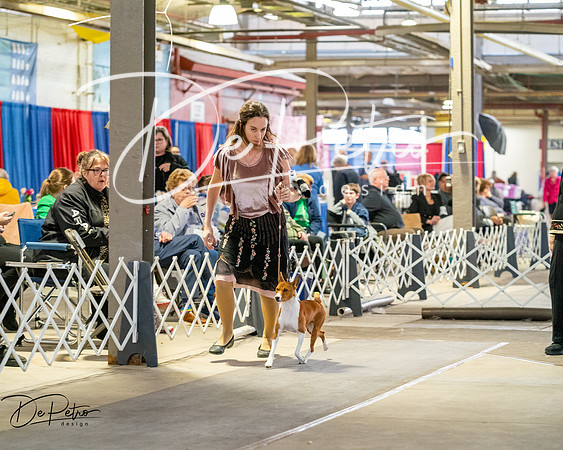 20260328-DSC06851