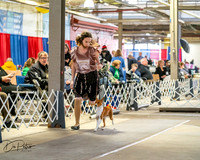 20260328-DSC06854