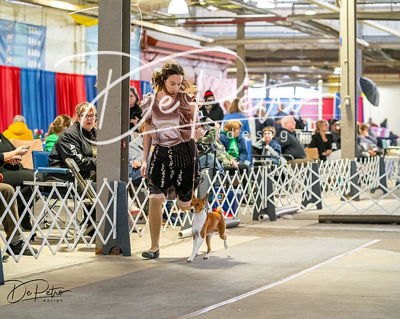 20260328-DSC06854