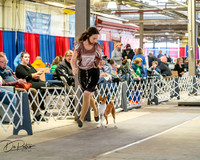 20260328-DSC06859