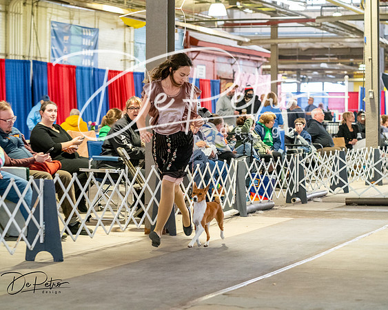 20260328-DSC06859