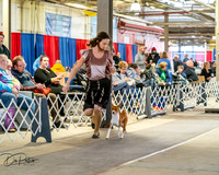 20260328-DSC06862