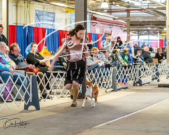 20260328-DSC06862
