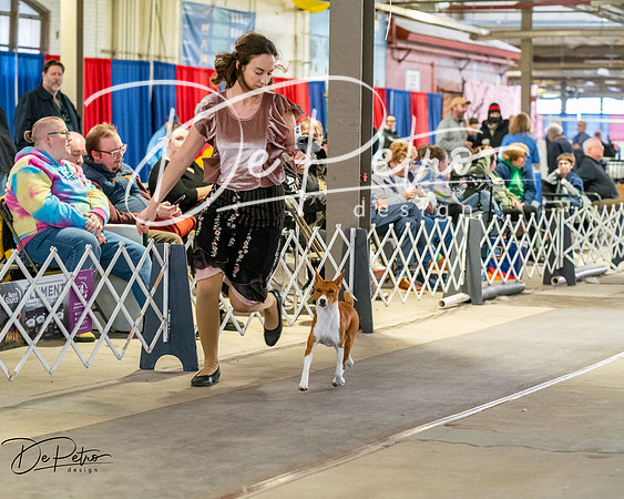20260328-DSC06868