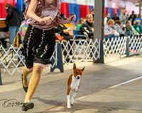 20260328-DSC06874