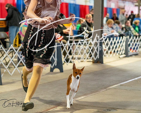 20260328-DSC06874