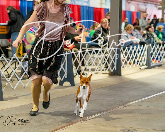 20260328-DSC06872