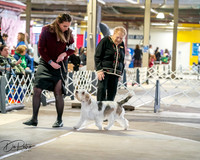 20260328-DSC06884