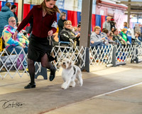 20260328-DSC06905