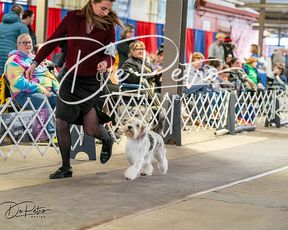 20260328-DSC06905