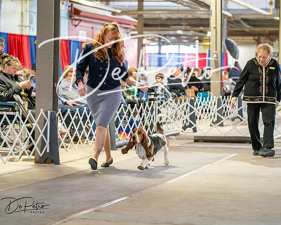 20260328-DSC06957