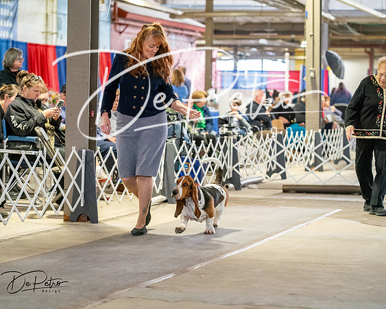 20260328-DSC06961
