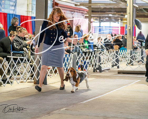 20260328-DSC06966