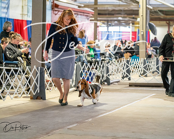 20260328-DSC06962