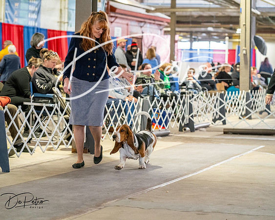 20260328-DSC06970