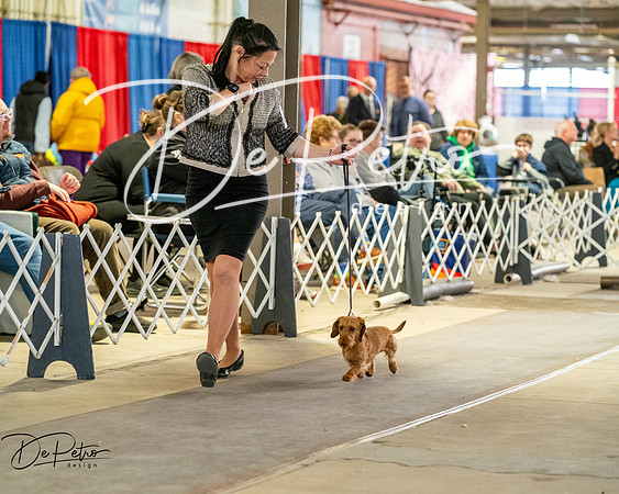 20260328-DSC06982