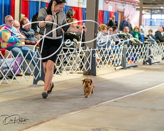 20260328-DSC06991