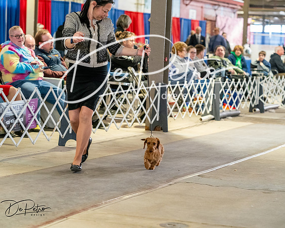 20260328-DSC06992