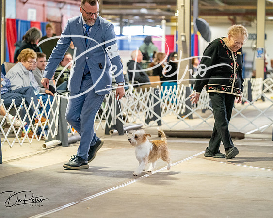 20260328-DSC07028