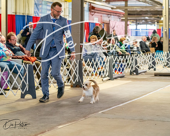 20260328-DSC07034