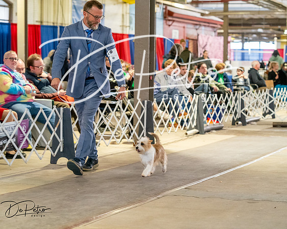 20260328-DSC07037