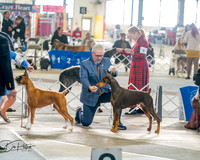20260328-DSC07055
