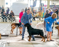 20260328-DSC07049