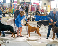 20260328-DSC07053