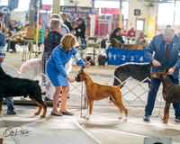 20260328-DSC07054