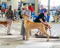 20260328-DSC07063