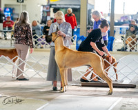 20260328-DSC07062