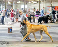 20260328-DSC07072