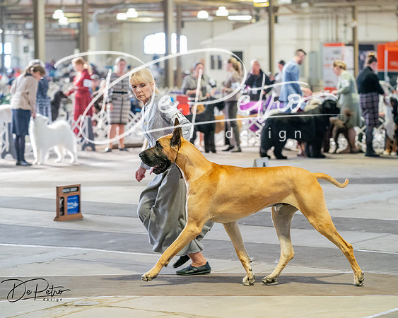 20260328-DSC07072