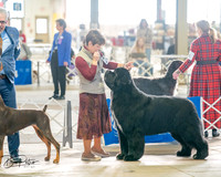 20260328-DSC07066