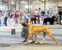 20260328-DSC07073