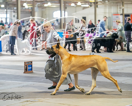 20260328-DSC07073