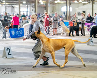 20260328-DSC07079