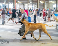 20260328-DSC07085