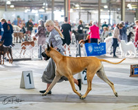 20260328-DSC07091
