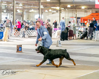20260328-DSC07103