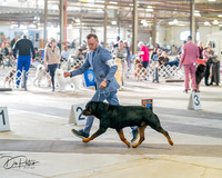 20260328-DSC07111