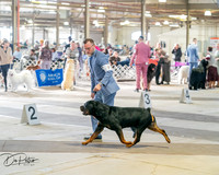 20260328-DSC07107