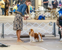 20260328-DSC07429
