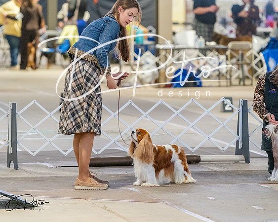 20260328-DSC07429