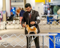 20260328-DSC07425