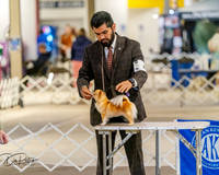 20260328-DSC07426
