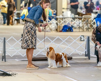 20260328-DSC07430