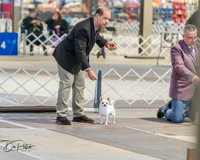 20260328-DSC07435